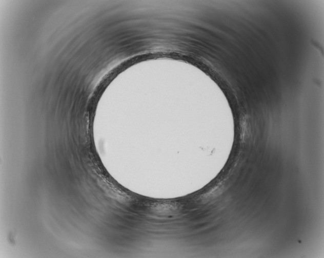 X0000103941021200810171810