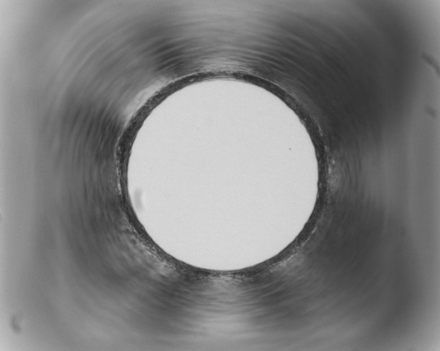 X0000103941022200810171810