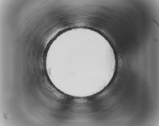 X0000103941023200810171810