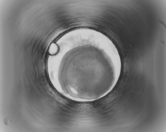 X0000103941024200810171810