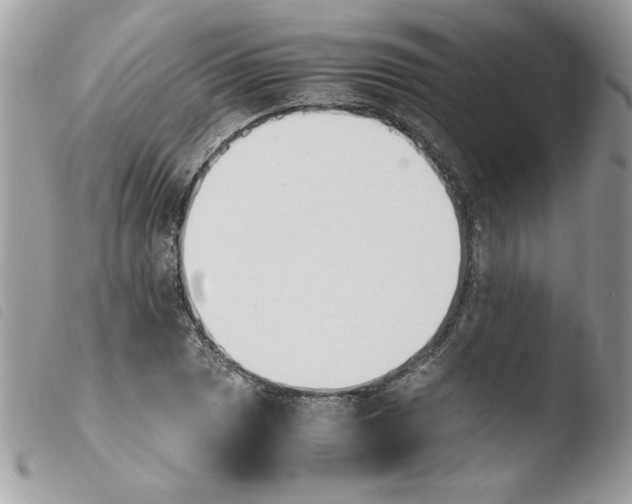 X0000103941025200810171810