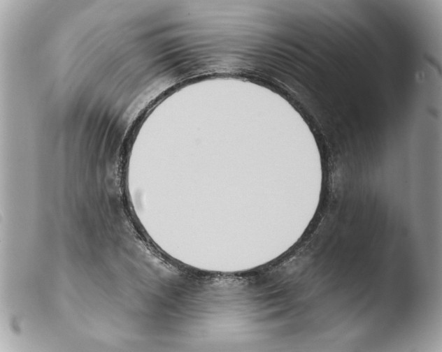 X0000103941026200810171810