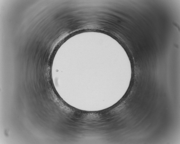 X0000103941029200810171810