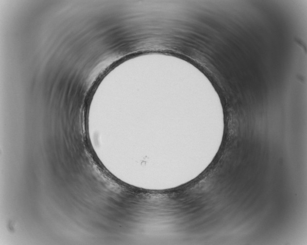 X0000103941030200810171810