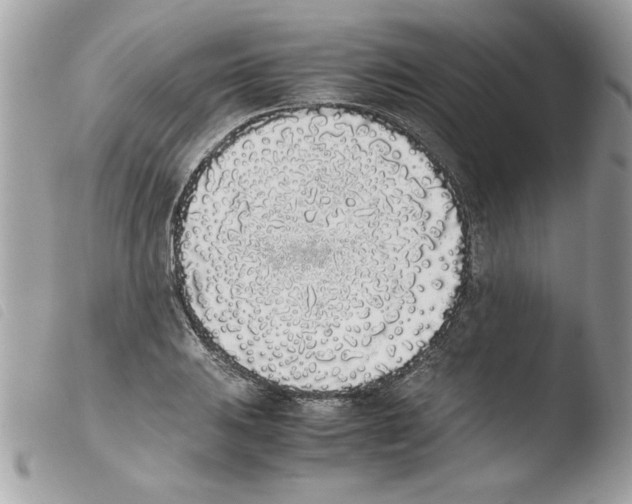 X0000103941031200810171810