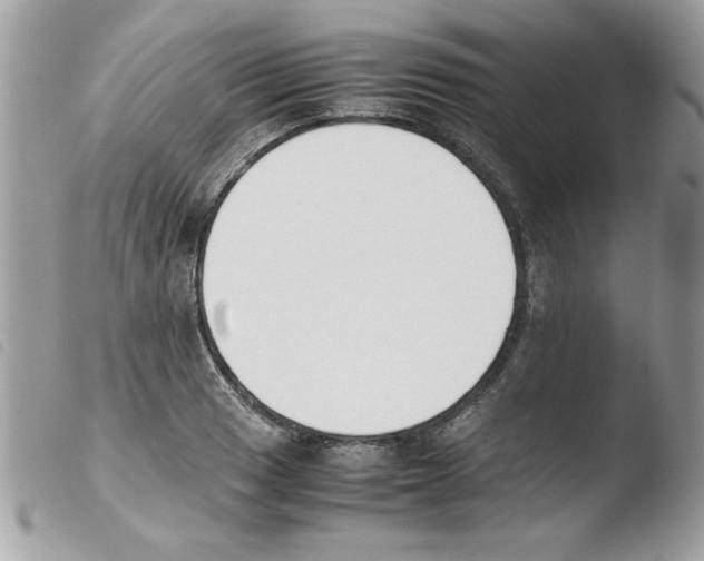 X0000103941033200810171810