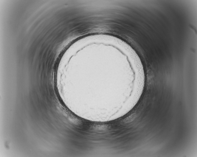 X0000103941035200810171810