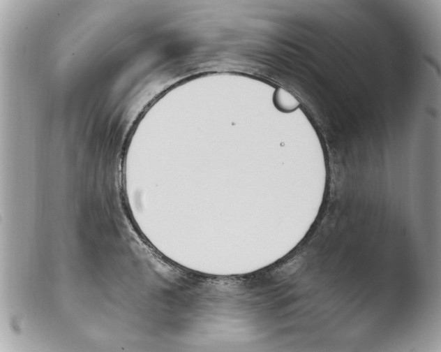 X0000103941040200810171810