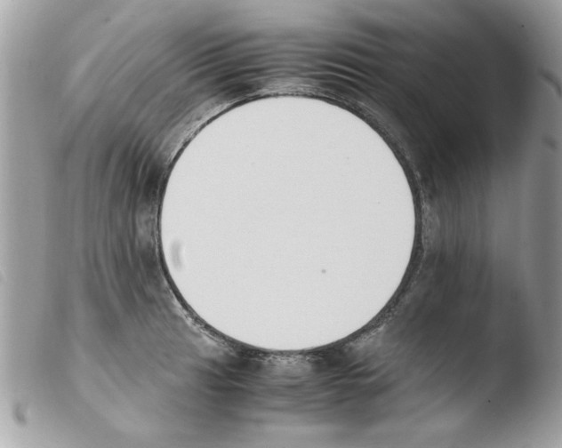 X0000103941041200810171810