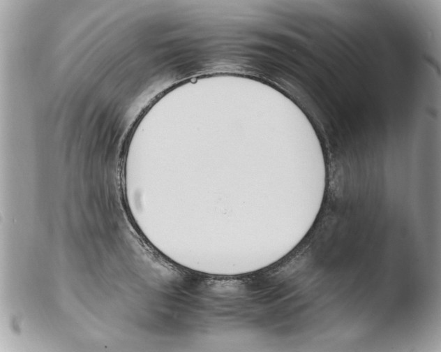 X0000103941043200810171810