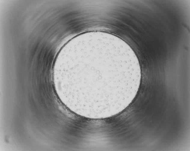 X0000103941044200810171810