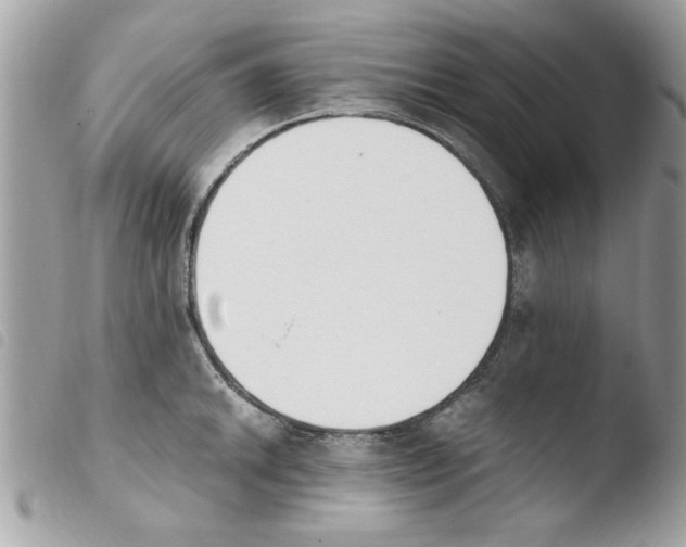 X0000103941046200810171810