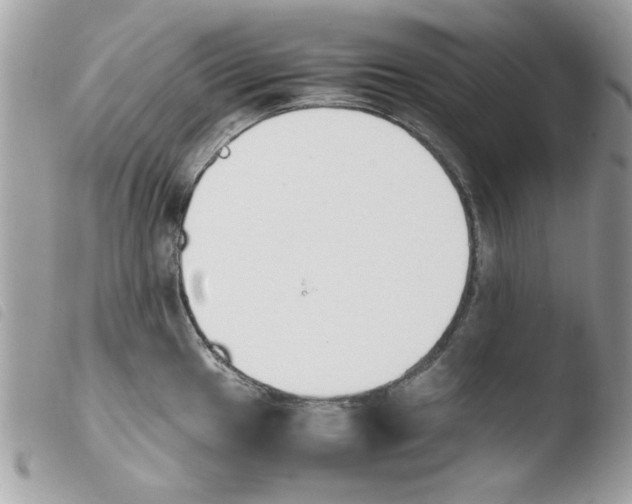 X0000103941049200810171810