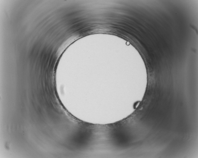 X0000103941050200810171811