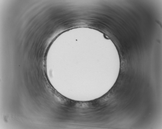 X0000103941051200810171811