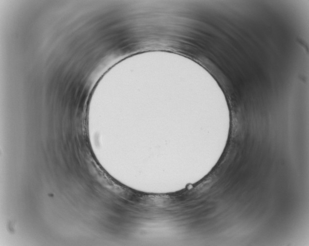 X0000103941052200810171811