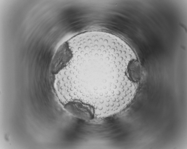 X0000103941053200810171811