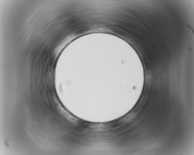 X0000103941054200810171811