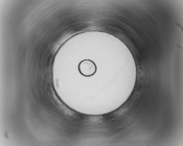 X0000103941055200810171811