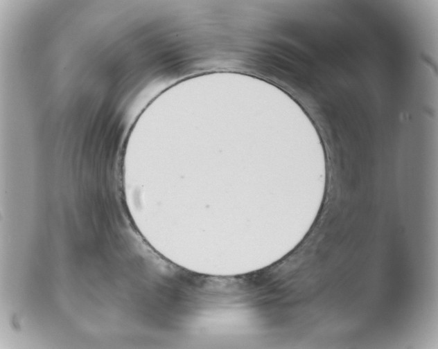 X0000103941056200810171811