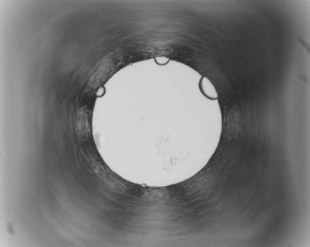 X0000103941058200810171810