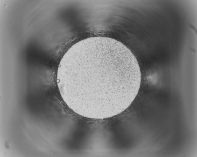 X0000103941060200810171810