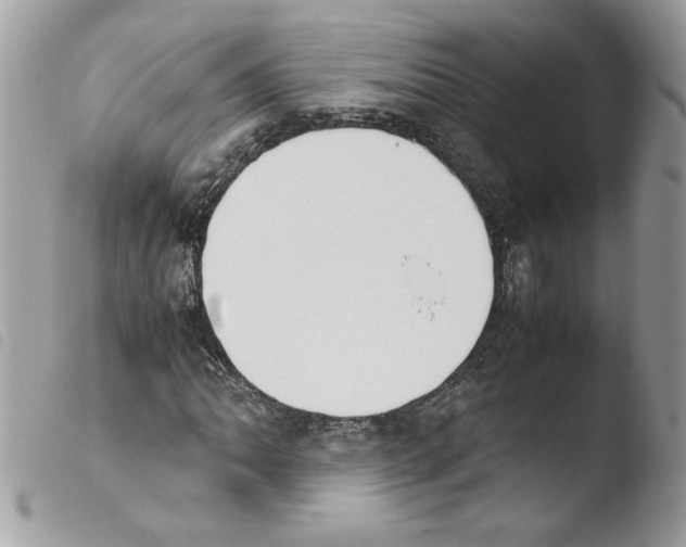 X0000103941062200810171810