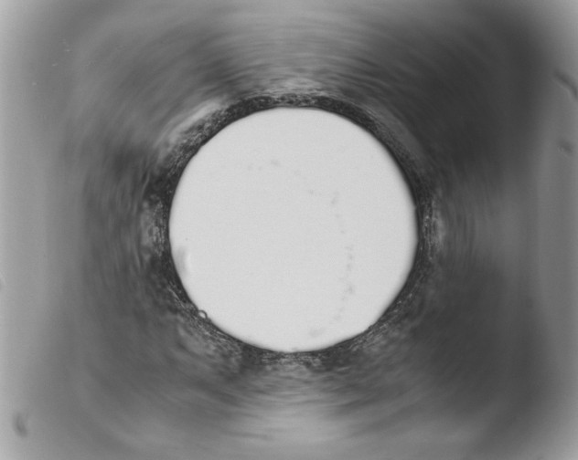 X0000103941063200810171810