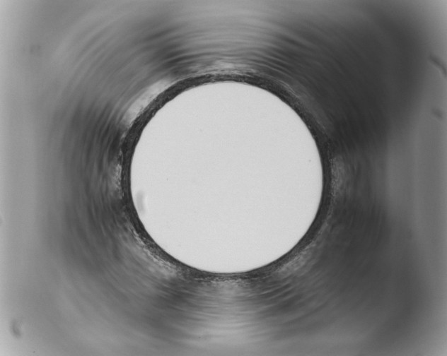 X0000103941066200810171810