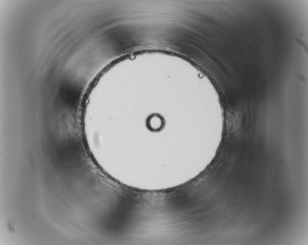 X0000103941068200810171810