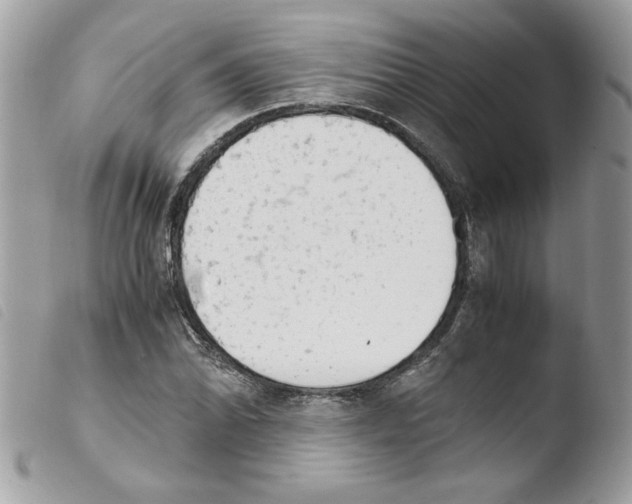 X0000103941070200810171810