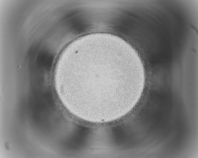 X0000103941072200810171810