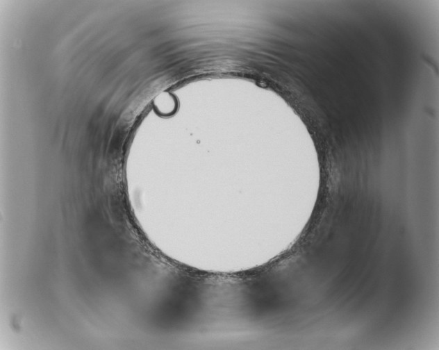 X0000103941073200810171810