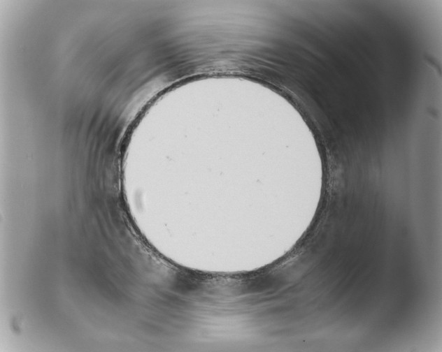 X0000103941075200810171810