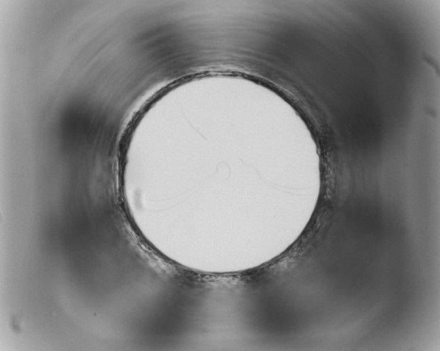 X0000103941076200810171809