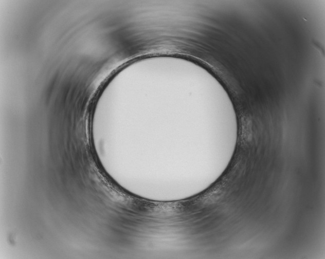 X0000103941078200810171809