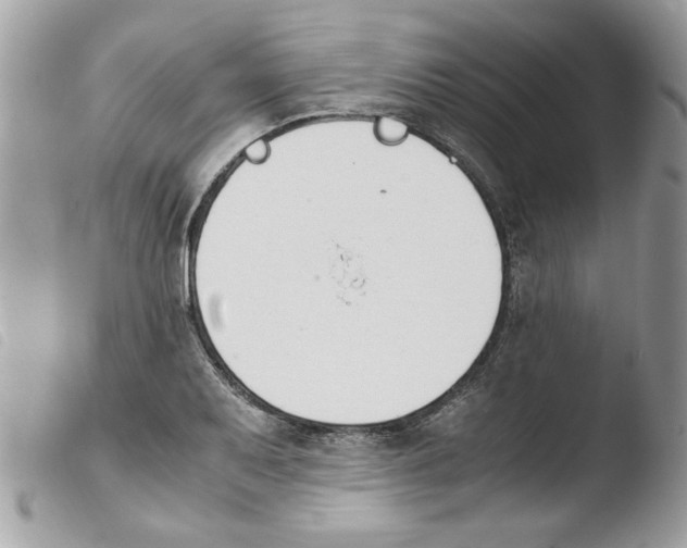 X0000103941079200810171809