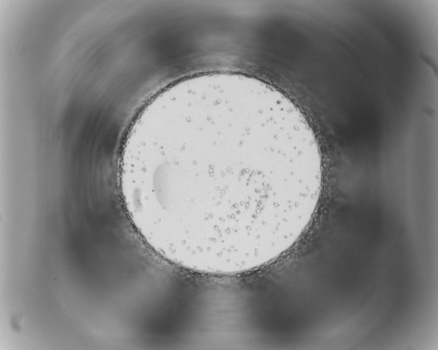 X0000103941080200810171809