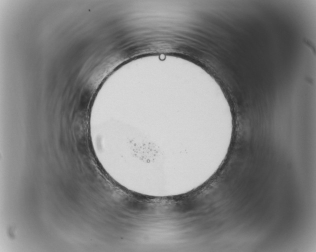 X0000103941081200810171809