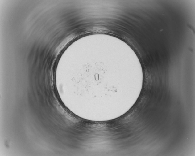 X0000103941082200810171809