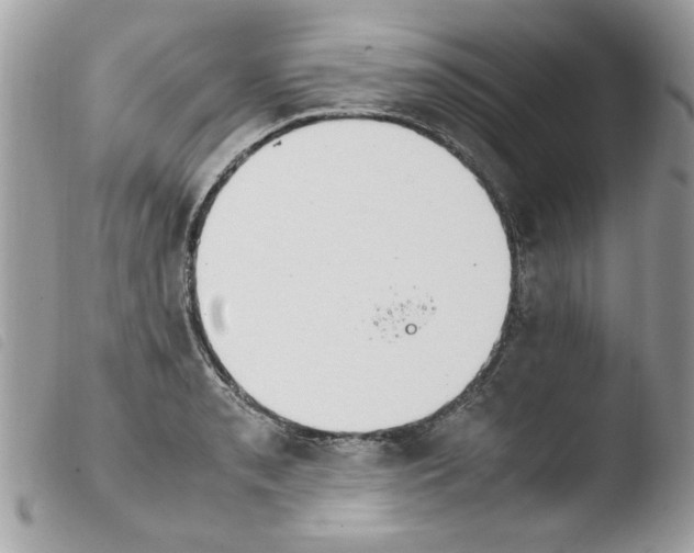 X0000103941085200810171809