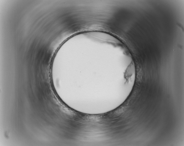 X0000103941086200810171809