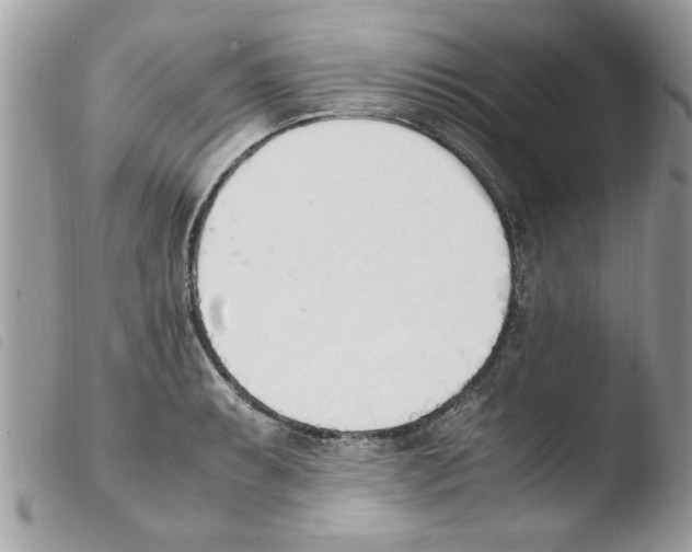 X0000103941087200810171809