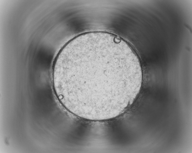 X0000103941088200810171809