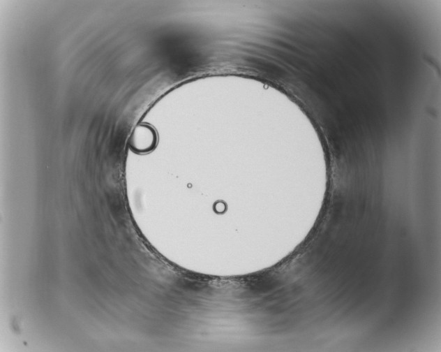 X0000103941089200810171809