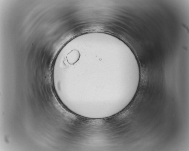 X0000103941090200810171809