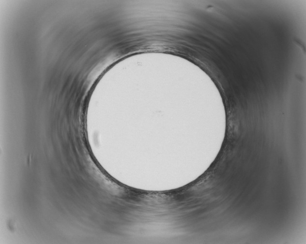 X0000103941091200810171809