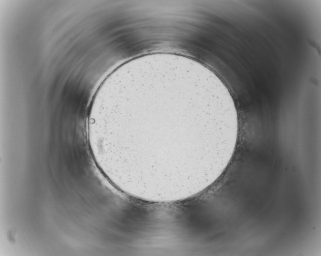 X0000103941092200810171809