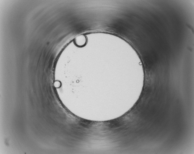 X0000103941093200810171809