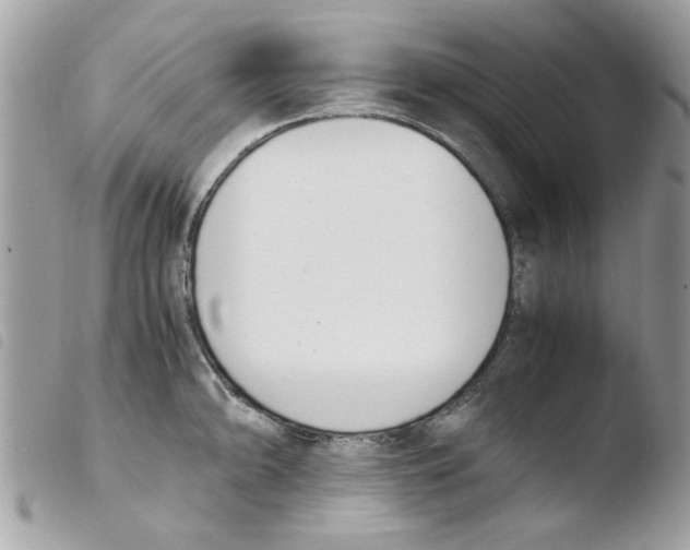 X0000103941094200810171809